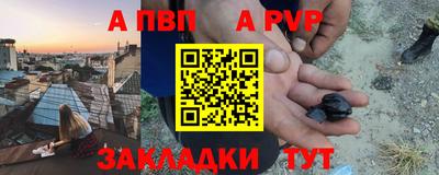 шишки Заволжье