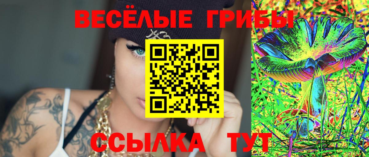Мариинск  Галлюциногенные грибы Psilocybine cubensis  Галлюциногенные грибы Psilocybe  Вход с VPN 
